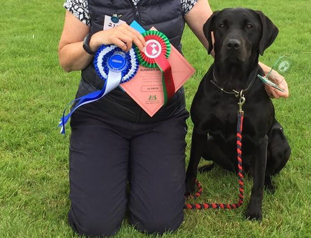 Crufts Qualification