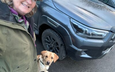 Helping out at a local Spaniel Trial