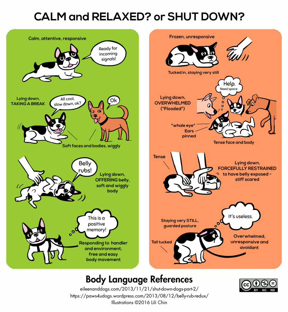 Illustration of signs your puppy is anxious including yawning, turning away, and lip licking