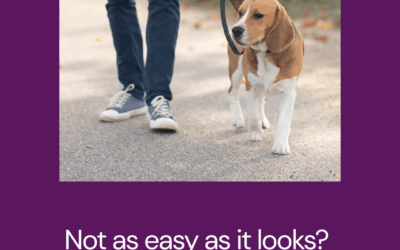 Puppy Lead Training: Stop Pulling with the Drunk Walking Game