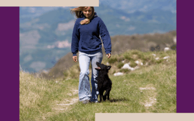 Heelwork Training for Dogs: Why It Falls Apart on Walks