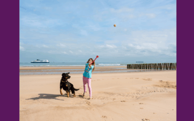 Think Ball Throwing Tires your Dog Out? Think Again